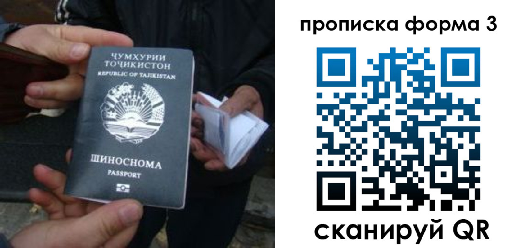 прописка 2025 в Реутове